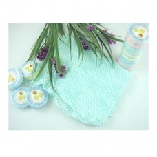 Mini compressed towel (10pcs) random color