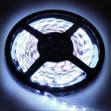 3528 Light,Cool White,300led/5M