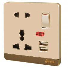 13A Wall-Mount Socket Panel Two Outlest and Two USB Ports with Indicator Light Golden