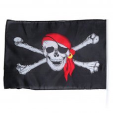 Halloween Costume Prop Skull Flag Large Size