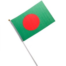 National Flag of Countries Hand Waving Flag with Pole 100pcs