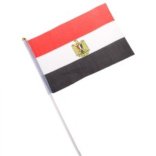 National Flag of Countries Hand Waving Flag with Pole 100pcs