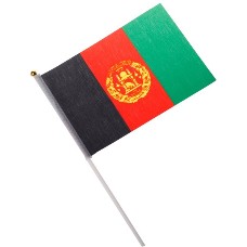 National Flag of Countries Hand Waving Flag with Pole 100pcs