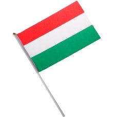 National Flag of Countries Hand Waving Flag with Pole 100pcs