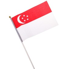 National Flag of Countries Hand Waving Flag with Pole 100pcs