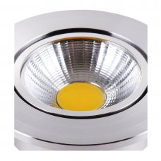 LED Light COB Ceiling Light Downlight High-gloss Silver Warm Light 3W