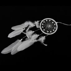 Traditional Cobweb White Feather Wooden Beads Dream Catcher for Bedroom MS6033