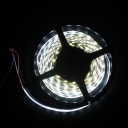 5M 5050 SMD LED 300 LED Light Strip Flexible 60LED/M New