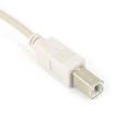 6.5Ft 2m USB A male to 1394 6pin Cable