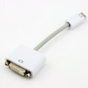 Mini DisplayPort to DVI Adapter/Converter Cable 24+1