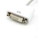 Mini DisplayPort to DVI Adapter/Converter Cable 24+1