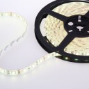 Waterproof Double Density SMD 5050 60LEDs