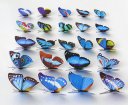 100pcs 7cm Colorful 3D Artificial Butterflies with Magnet