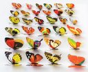 100pcs 7cm Colorful 3D Artificial Butterflies with Magnet