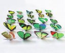 100pcs 7cm Colorful 3D Artificial Butterflies with Magnet