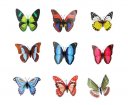 100pcs 7cm Colorful 3D Artificial Butterflies with Magnet