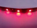 Auto Car 5m Long Red 300 1210 SMD LED Light Flexible Lamp Strip