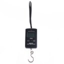 10g-40Kg Digital Hanging Luggage Fishing Weight Scale + 2 AAA Batteries