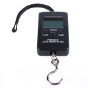 10g-40Kg Digital Hanging Luggage Fishing Weight Scale + 2 AAA Batteries