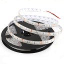 5 10M 3528 5050 SMD Green Flexible 300/600 LED Light Strip Remote Power Supply