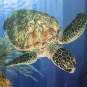 Sea Big Turtle Family Bathroom Shower Curtain Simple Ring Pull Easy To Install