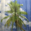 Blue Sky Beach Palm Tree Bathroom Curtain Waterproof Polyester  Shower Curtain