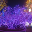 10m 100pcs Outdoor LED Light String Lights-EU Purple Christmas Xmas Decoration