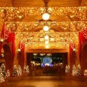 10m 100pcs Outdoor LED Light String Lights-EU Yellow Christmas Xmas Decoration