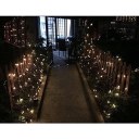 Waterproof 880LED 4M*6M Fairy Net Mesh Light Christmas Outdoor Party Garden Ball