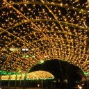 100 LEDs Solar Powered Light String Fairy Tree Light Outdoor Wedding Party Xmas