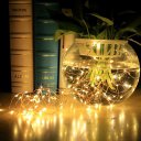 Dimmable LED String Lights 100LEDs Copper Wire Lights Flexible Fairy Lights