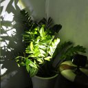 Wireless LED Security Solar Light  Weatherproof Outdoor Wall Light for Garden
