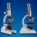 Microscope With Real Butterfly Specimen 1200X Metal Microscope Set