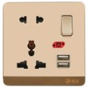 13A Wall-Mount Socket Panel Two Outlest and Two USB Ports with Indicator Light Golden