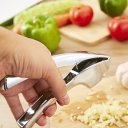 Creative Home Kitchen Tools Garlic Press