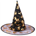 Halloween Masquerade Witch Wizard Sorcerer Hat Double Layer