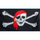 Halloween Costume Prop Skull Flag Large Size