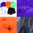 Hot Halloween Prop Spider Web with Little Spider Dispatch Randomly