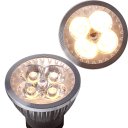 LED Spotlight Lighting Light Emitting Diode Warm White (3000-3500K) E27 Silver