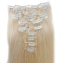 Human Hair Extension Hair Silk Straight Clips Applying 20 inch #613