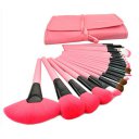 Makeup Cosmetic Brush Set 24 Brushes with Bag Pink