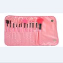 Makeup Cosmetic Brush Set 12 Brushes with Case Wallet Style Pink