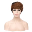 D571 SW1815 European Style Hair Wig Brown Fading