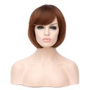 D571 SW1815 European Style Hair Wig Brown Fading