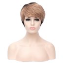 D571 SW1815 European Style Hair Wig Brown Fading