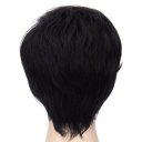 D576 SW1820 European Style Hair Wig Blue Black