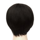 D527 SW1750 European Style Hair Wig Black