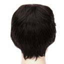 D539 SW1758 European Style Hair Wig Natural Black