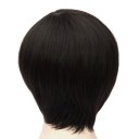 D552 SW1779 European Style Hair Wig Black