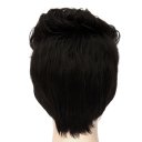 D510 SW-1715 European Style Hair Wig Black